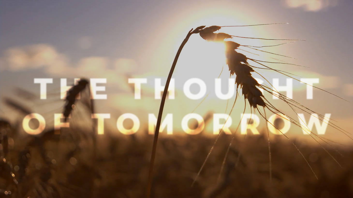 The Thought of Tomorrow Video